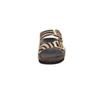 Scholl I F30067-2331