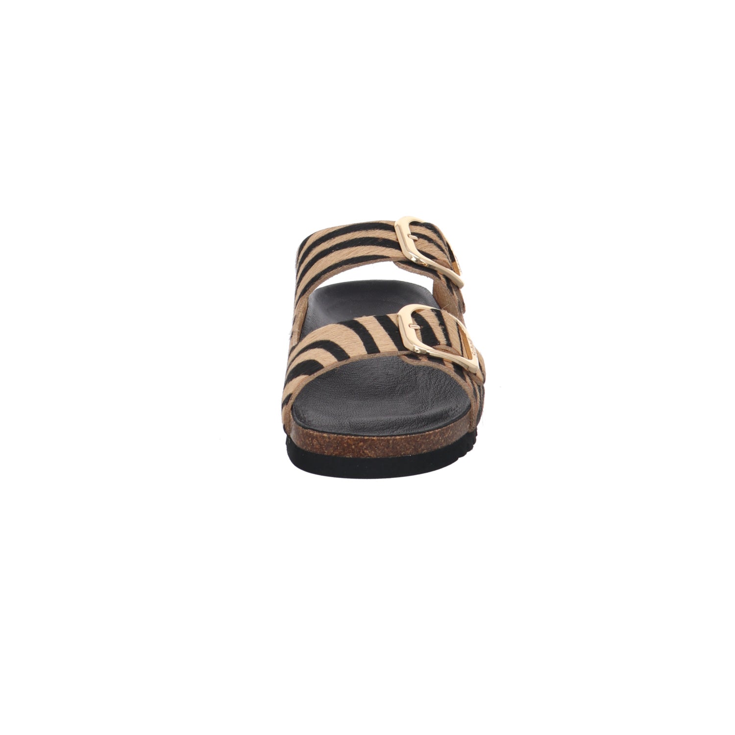 Scholl I F30067-2331