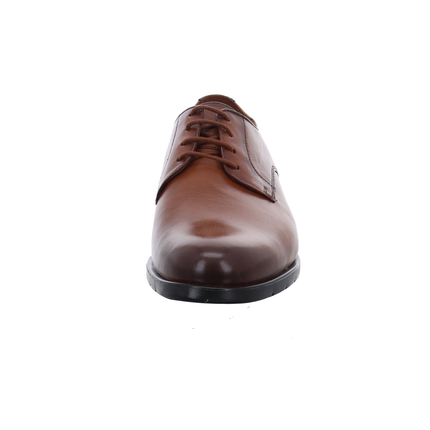 Lloyd | 2552003