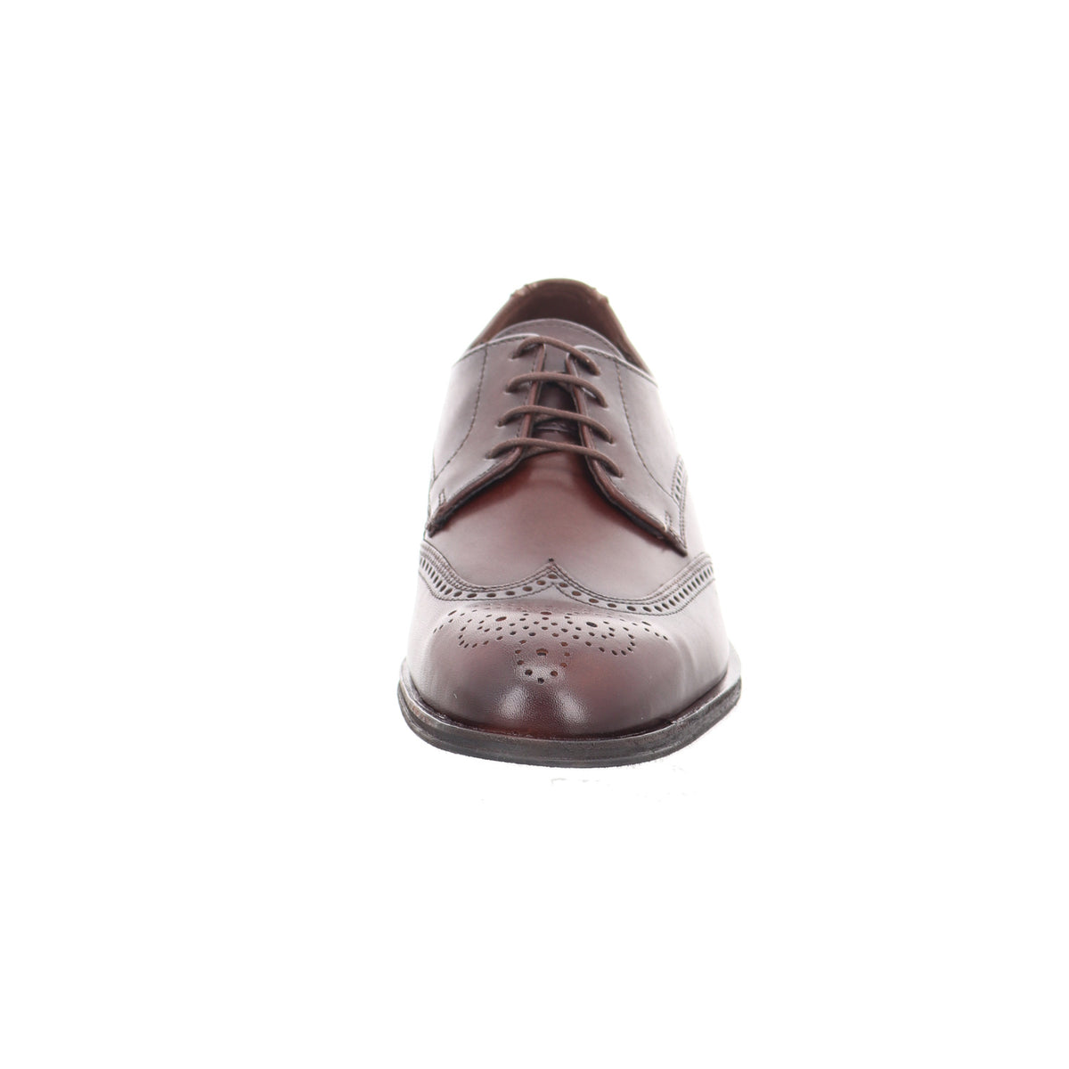 Lloyd | 2663205