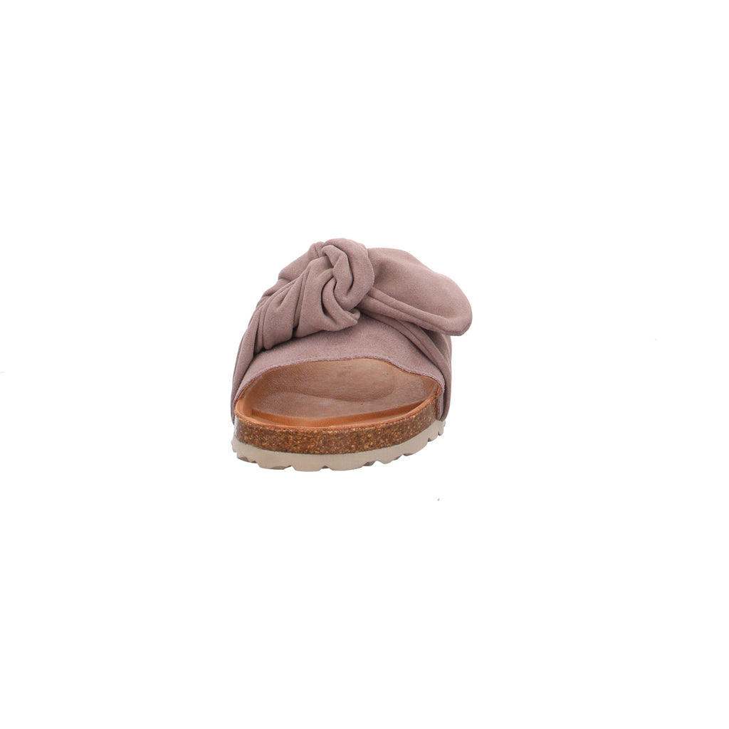 Verbenas | 330047V-0268-746