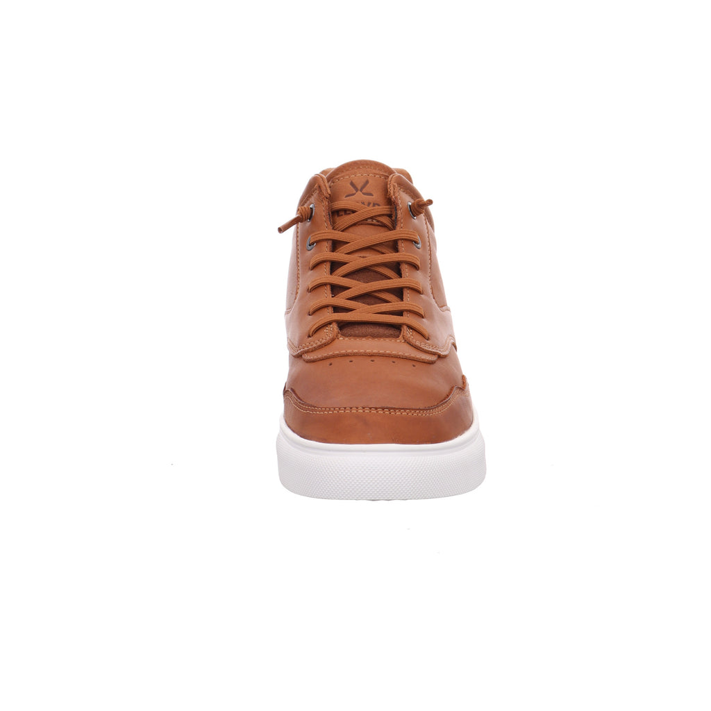 Lloyd | 2590503