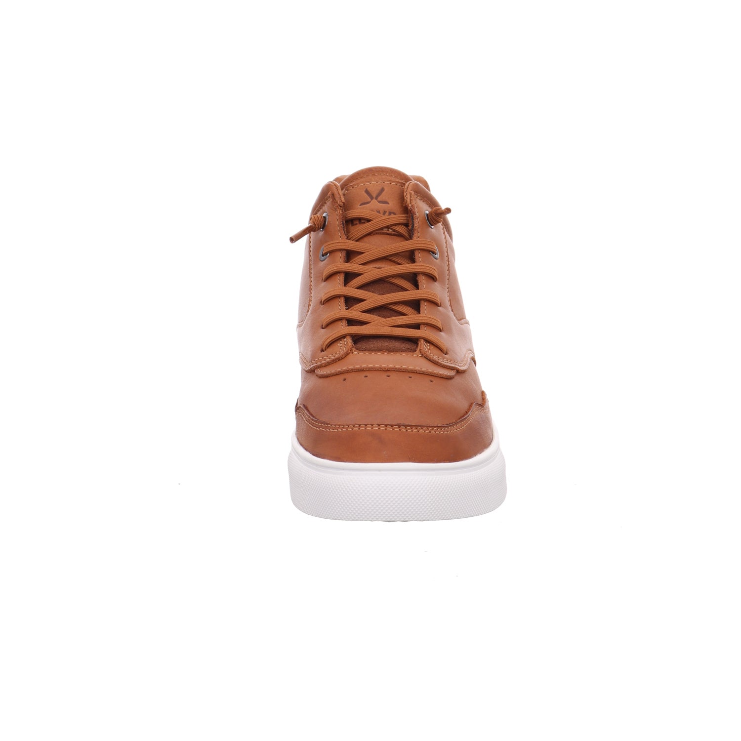 Lloyd | 2590503