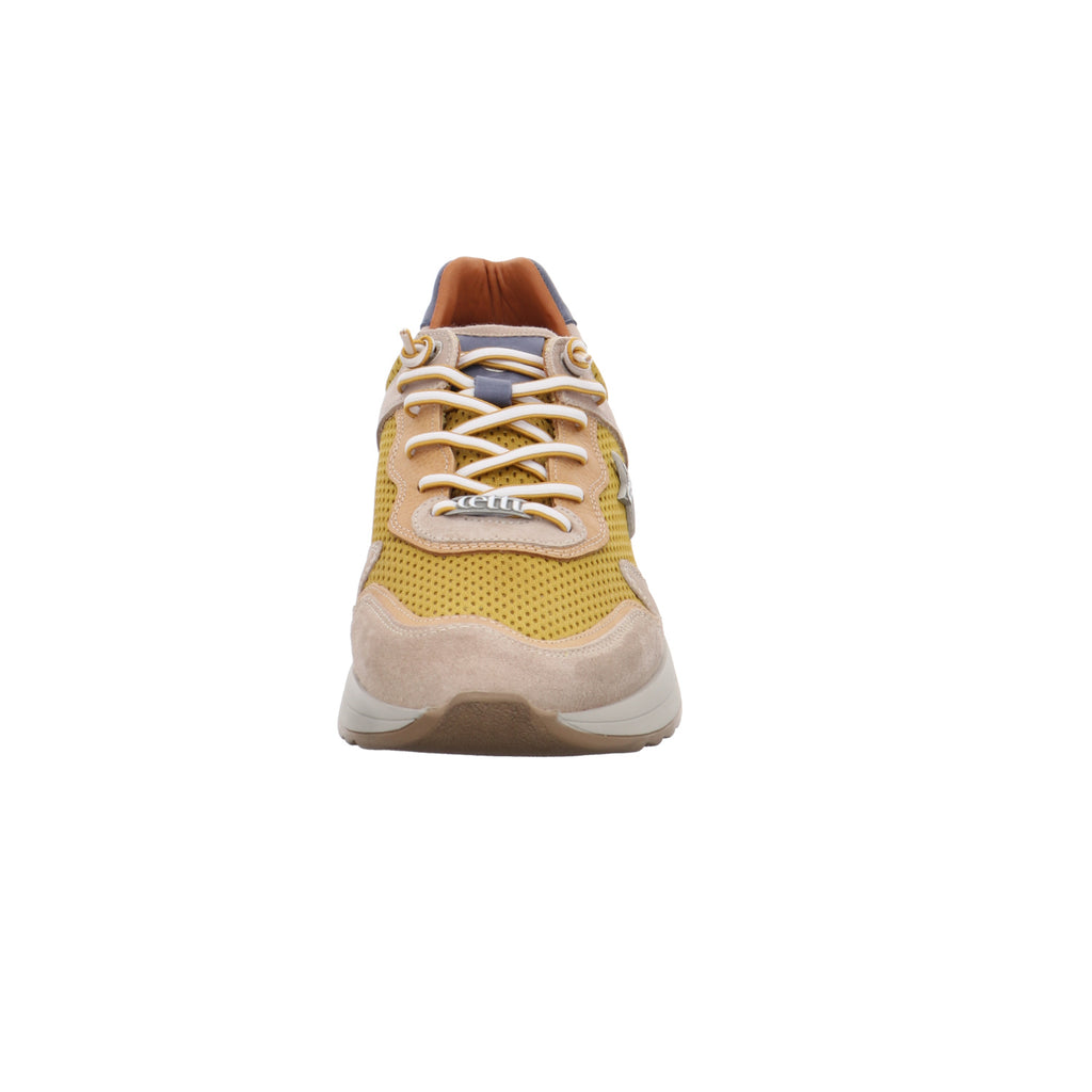 Cetti I C-1382 EXP