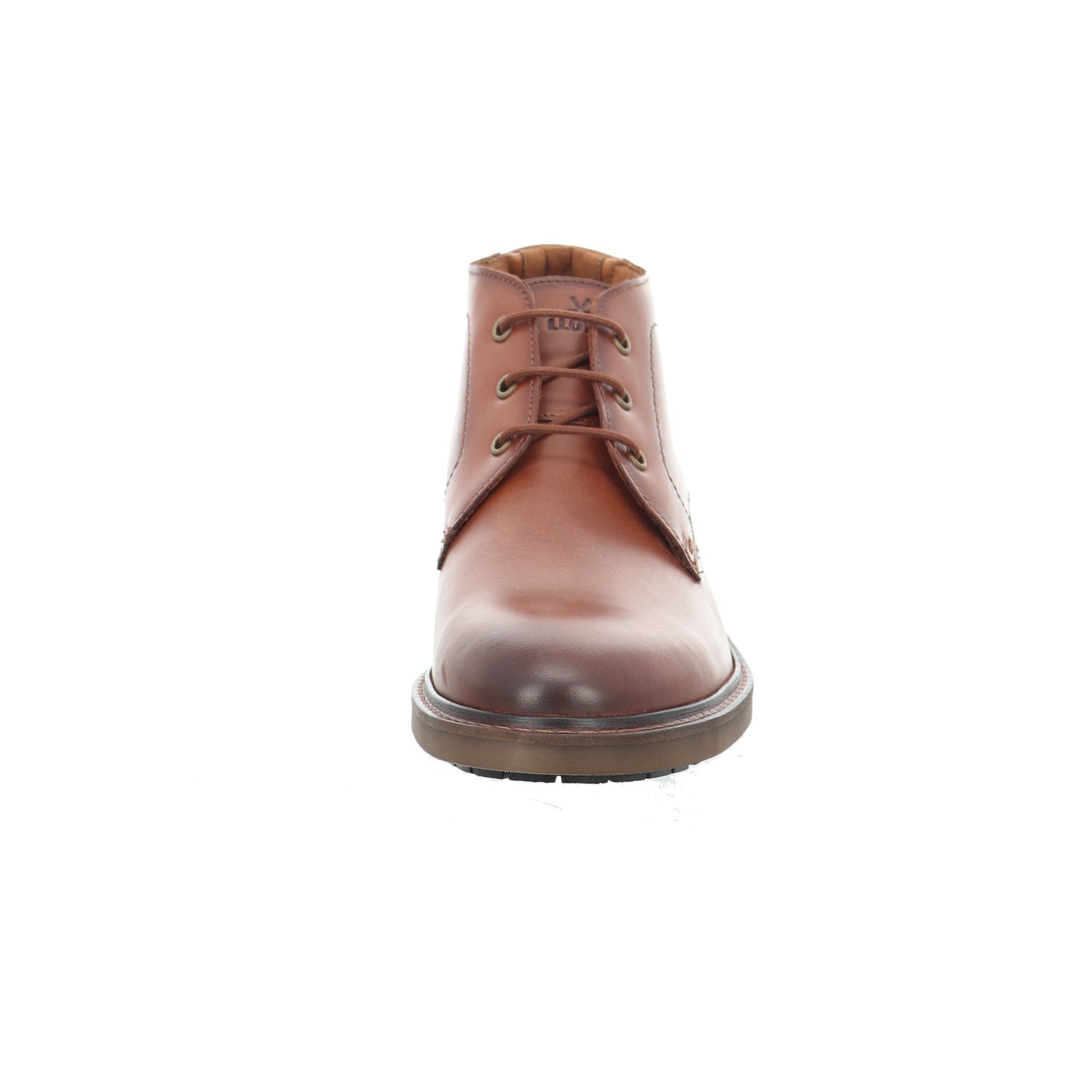 Lloyd | 2665203