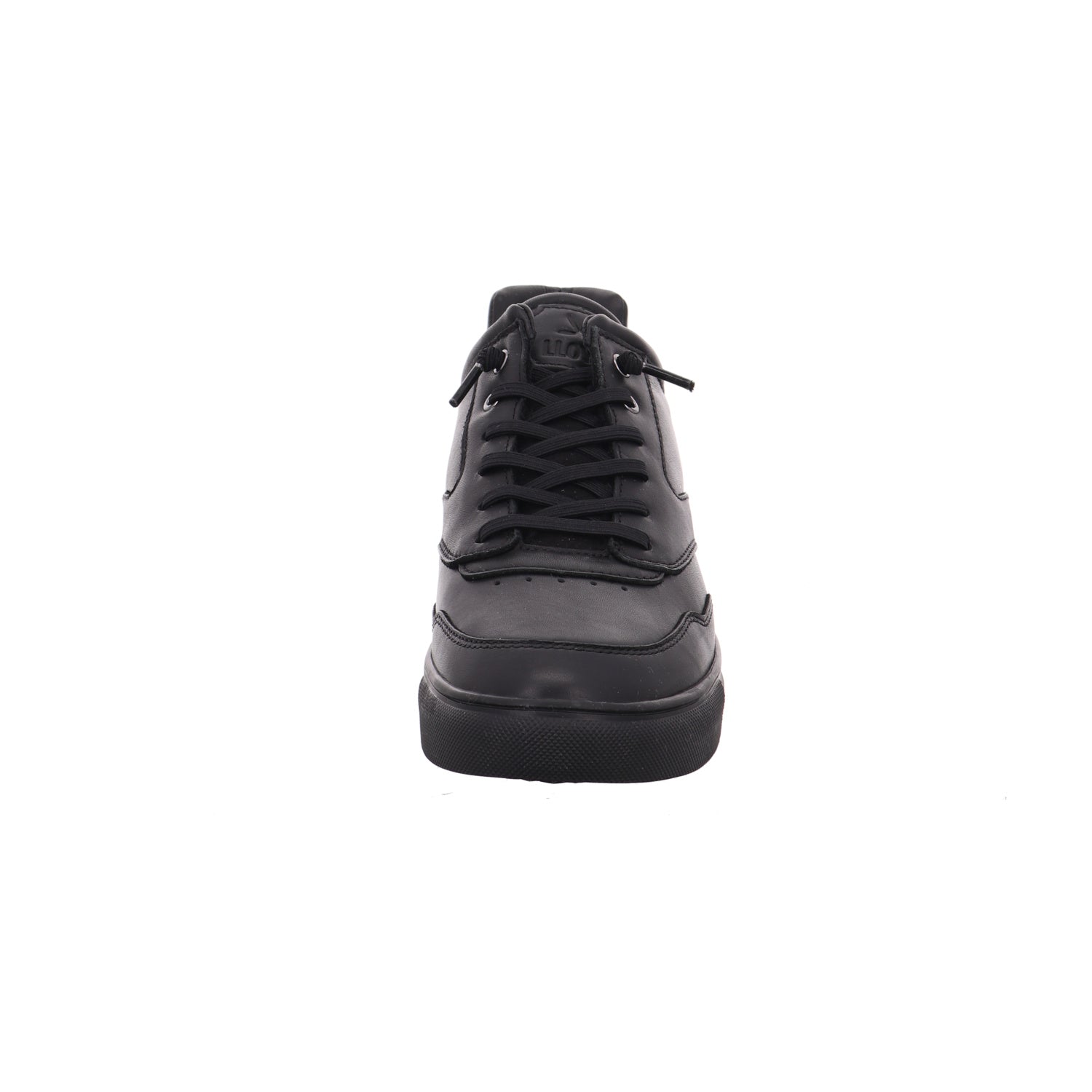 Lloyd | 2590540