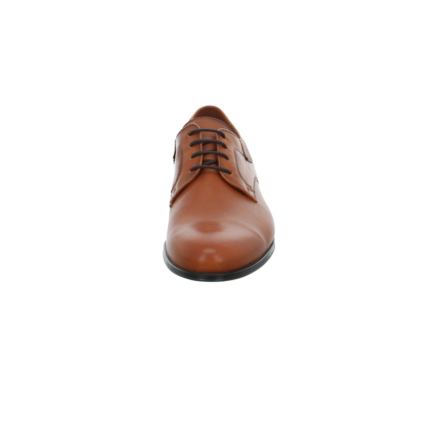 Lloyd 2961213 Lador in cognac
