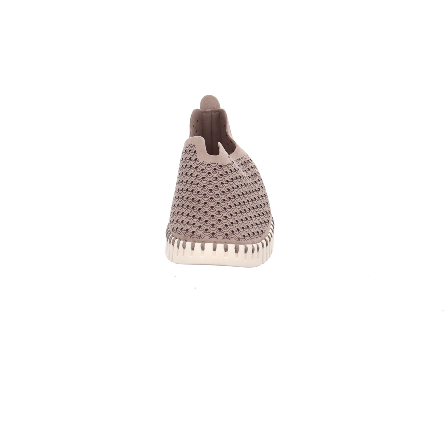 Ilse Jacobsen I TULIP3275-Falcon