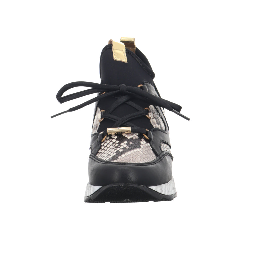 Cetti | C1204