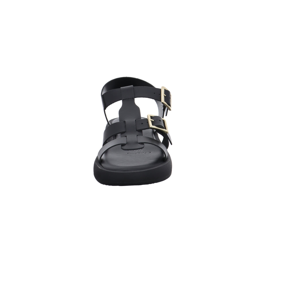 Wonders | AB-1012-NEGRO
