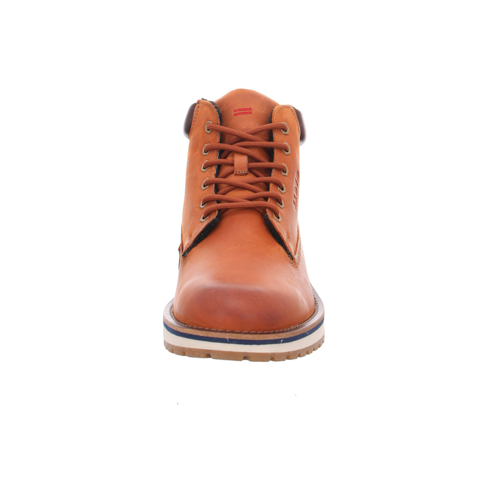 Lloyd | 2451513