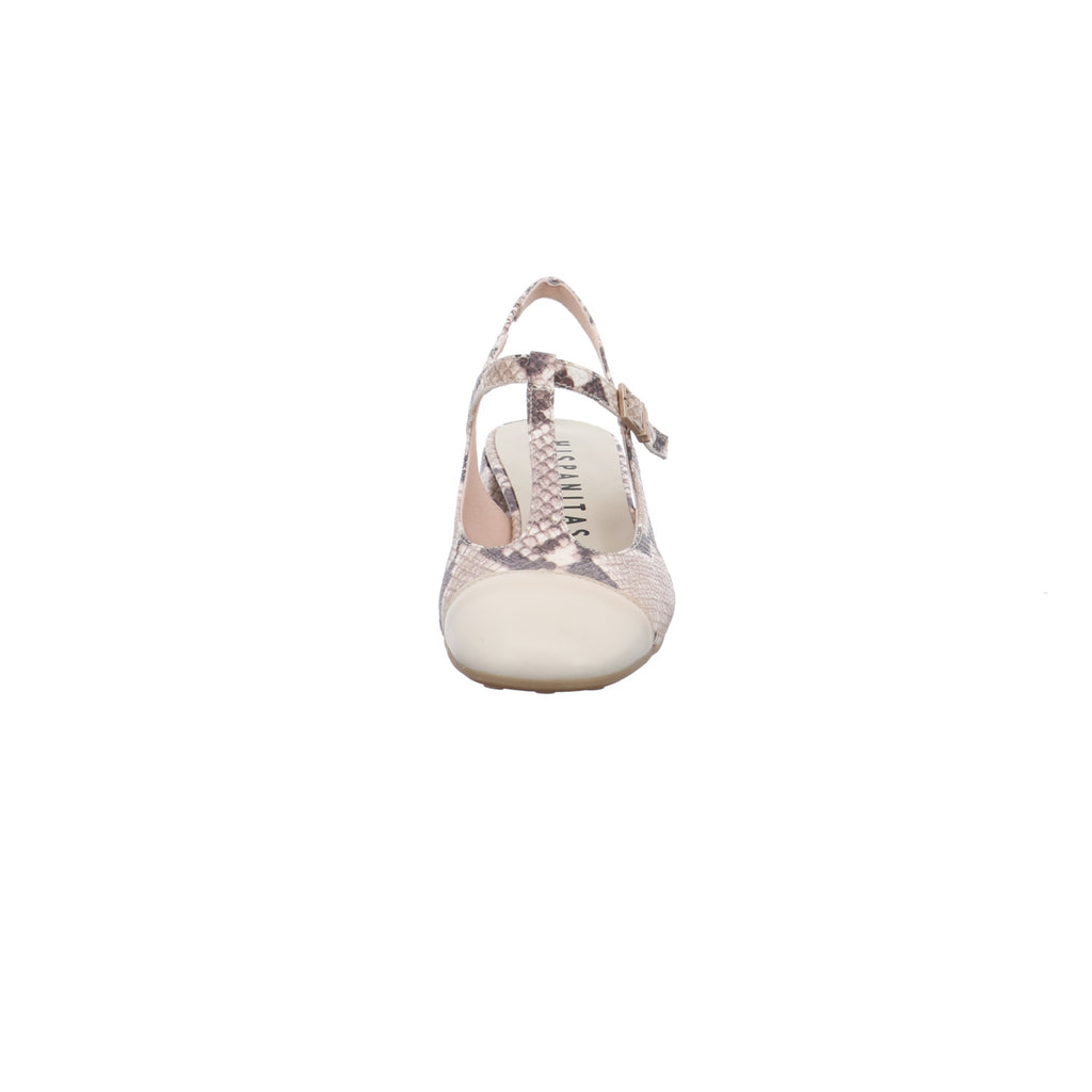 Hispanitas | HV253859-C011