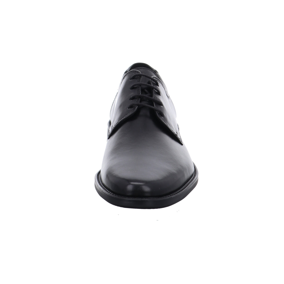 Lloyd | 2550400