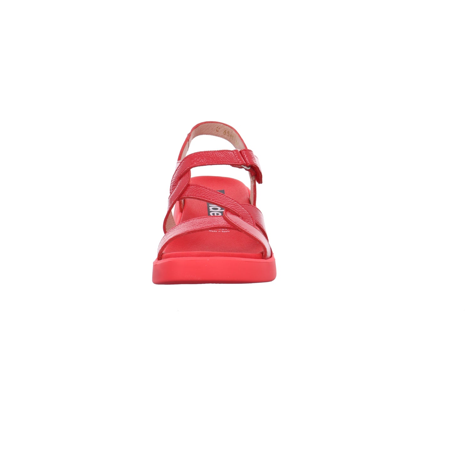 Wonders | C-6541-ROJO