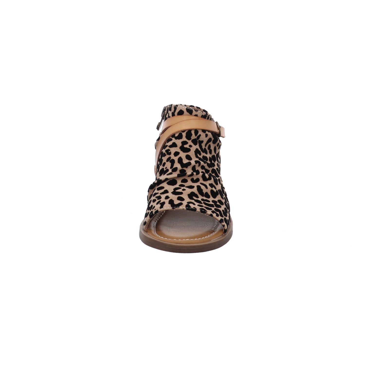 Blowfish I J4353-F1251