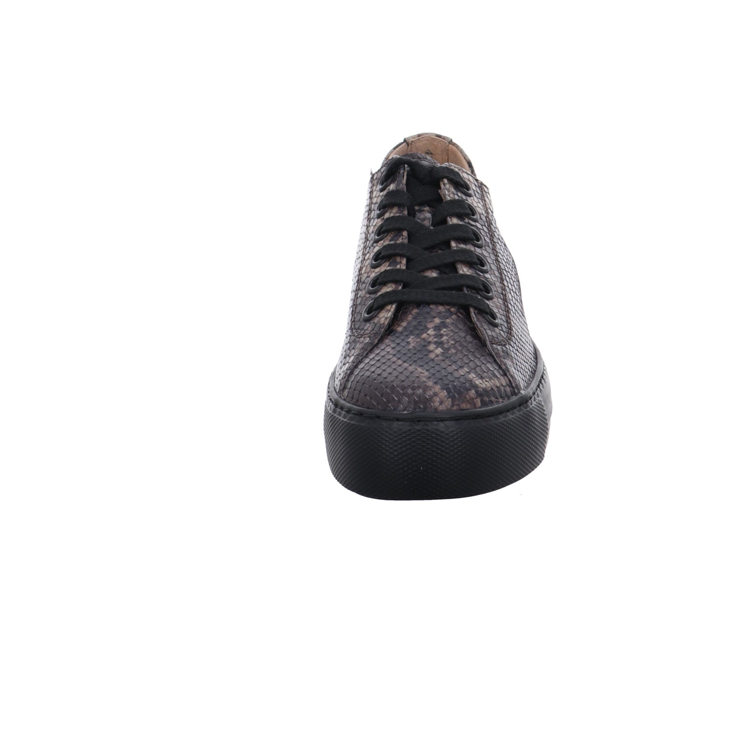 Paul Green | 4790-818