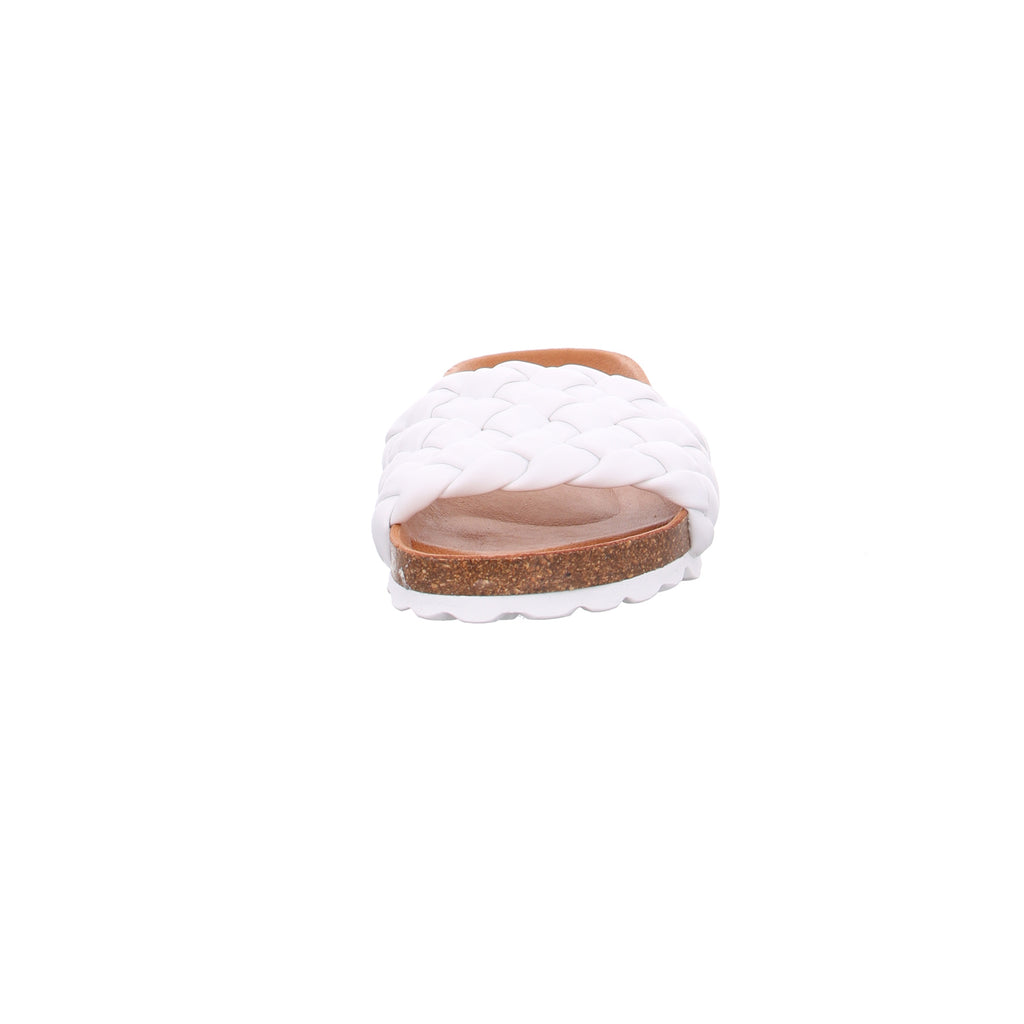 Verbenas I 33000790260-394