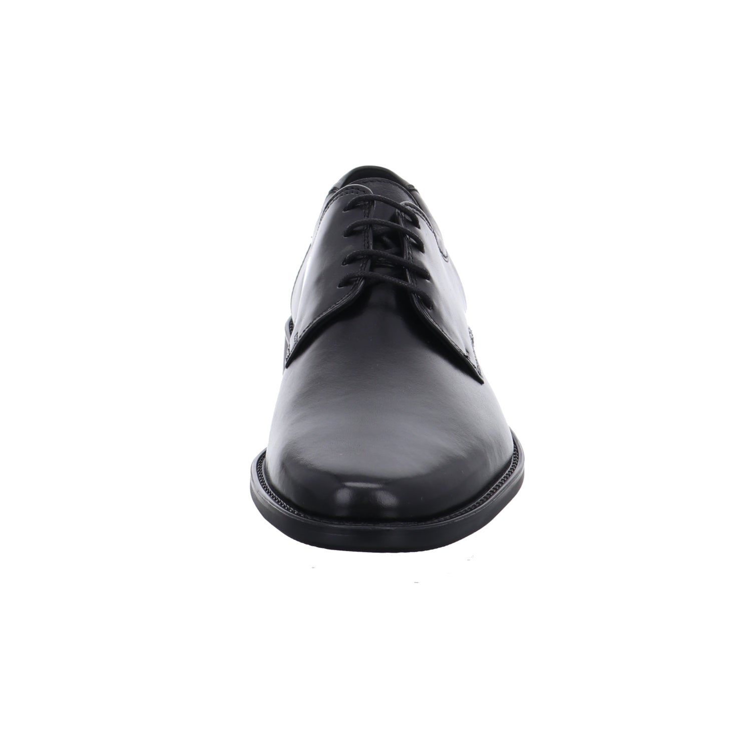 Lloyd | 2550400