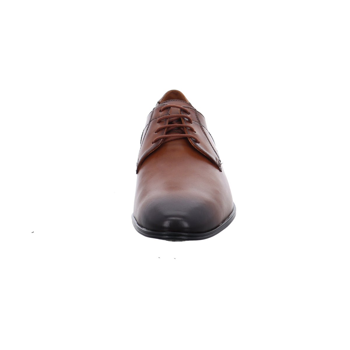 Lloyd | 2550503