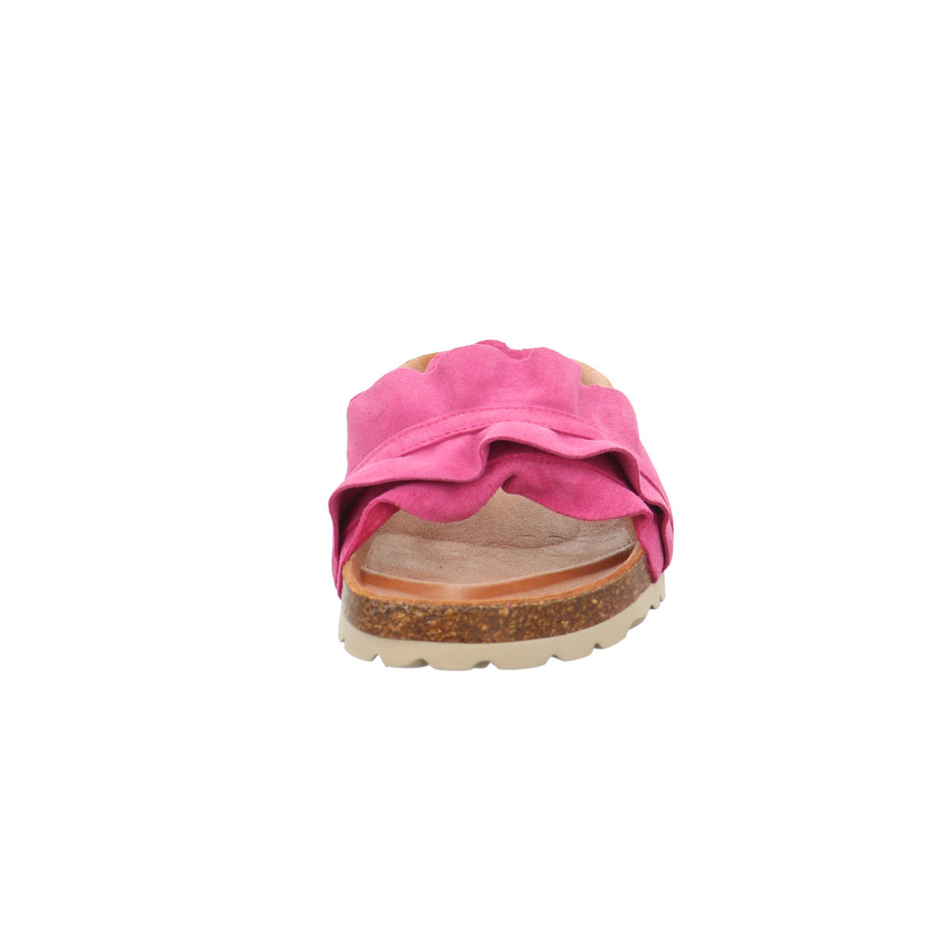 Verbenas | 330062V-0220-0999