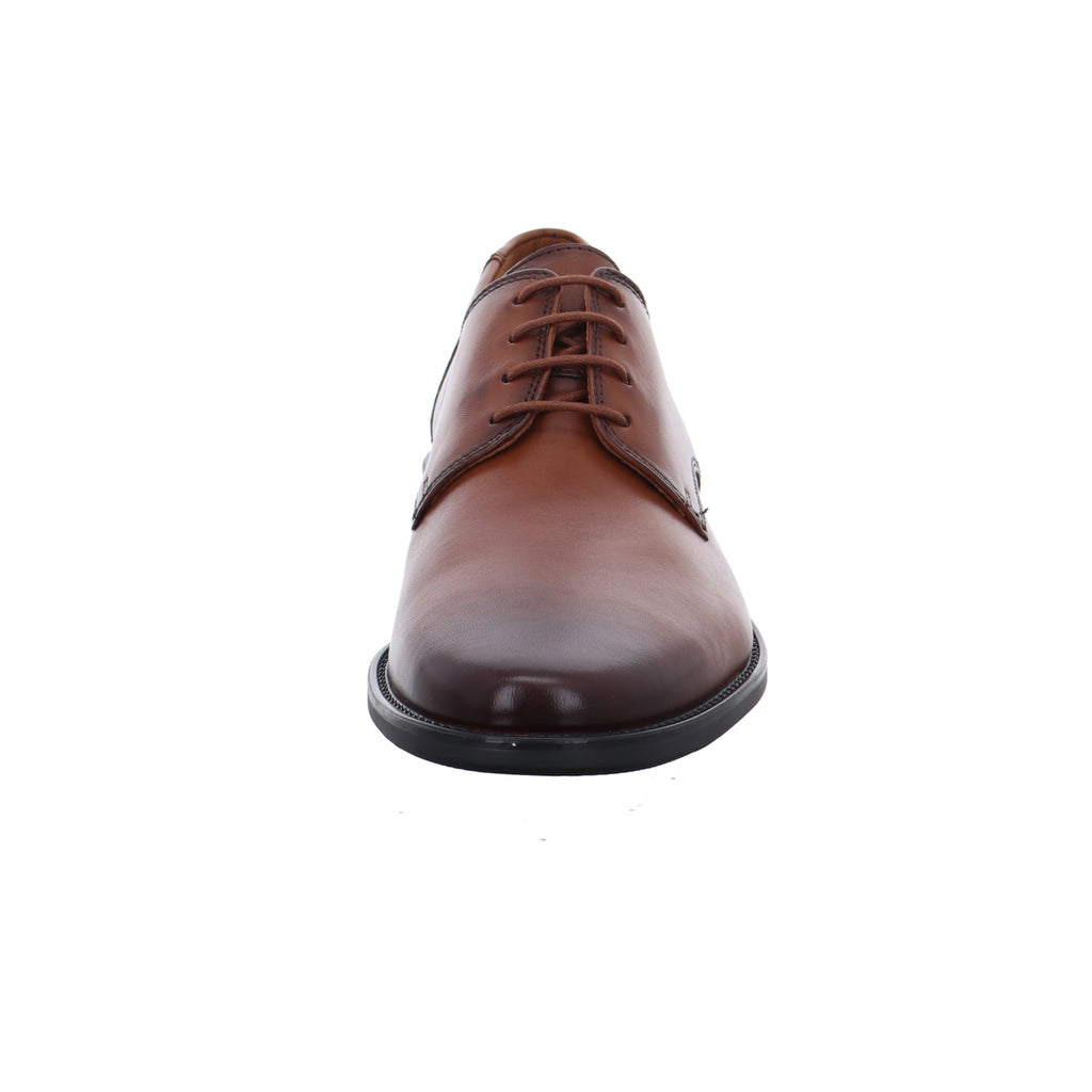 Lloyd | 2550403