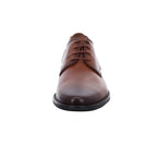 Lloyd | 2550403