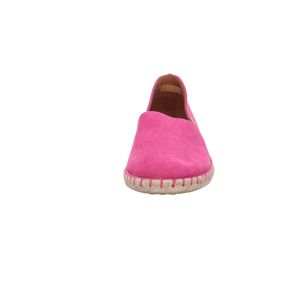Verbenas | 030058S-0001-0999