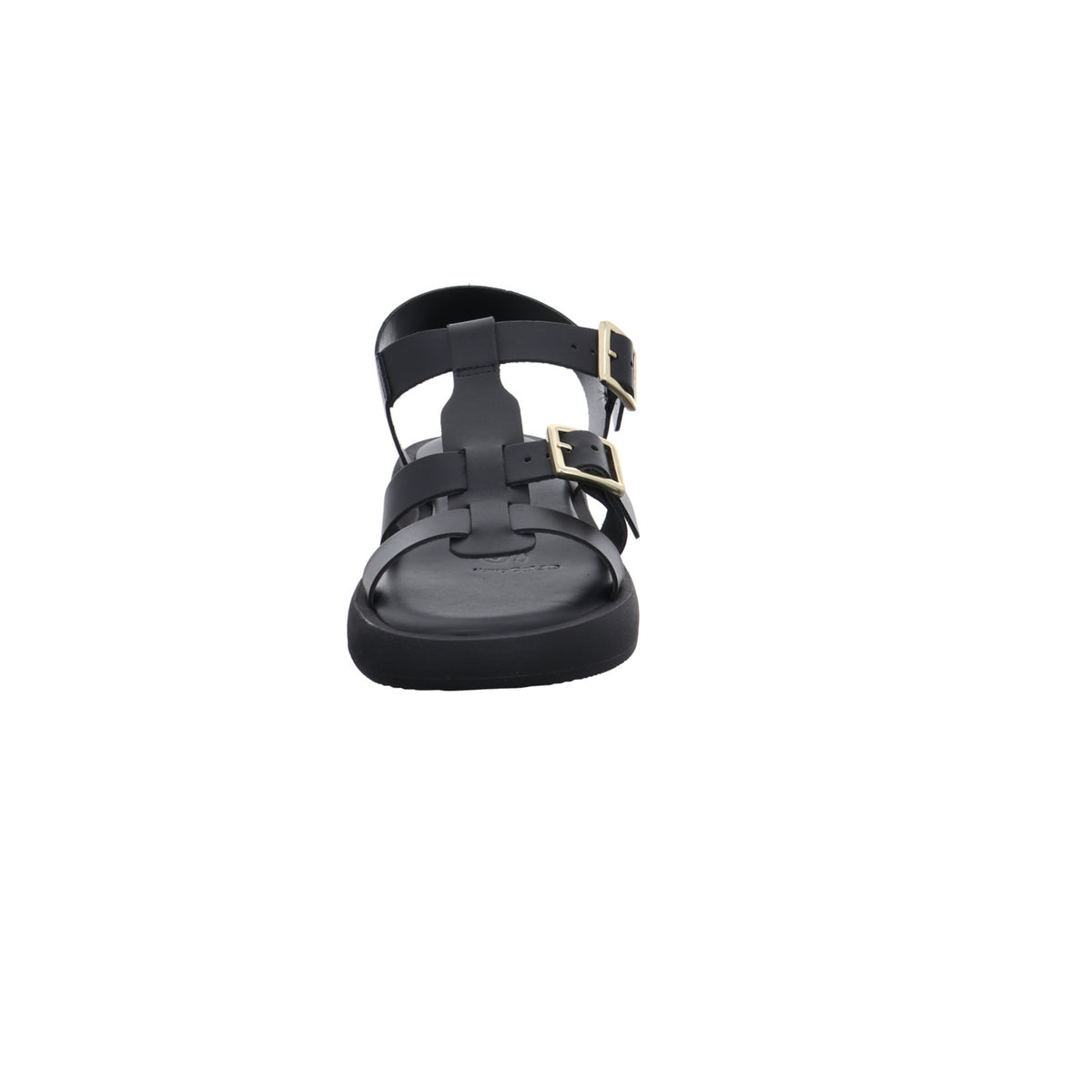 Wonders | AB-1012-NEGRO