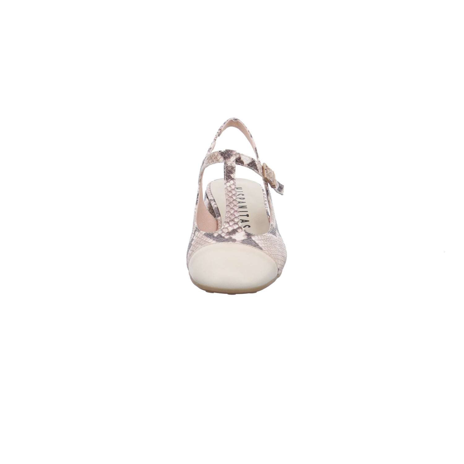 Hispanitas | HV253859-C011