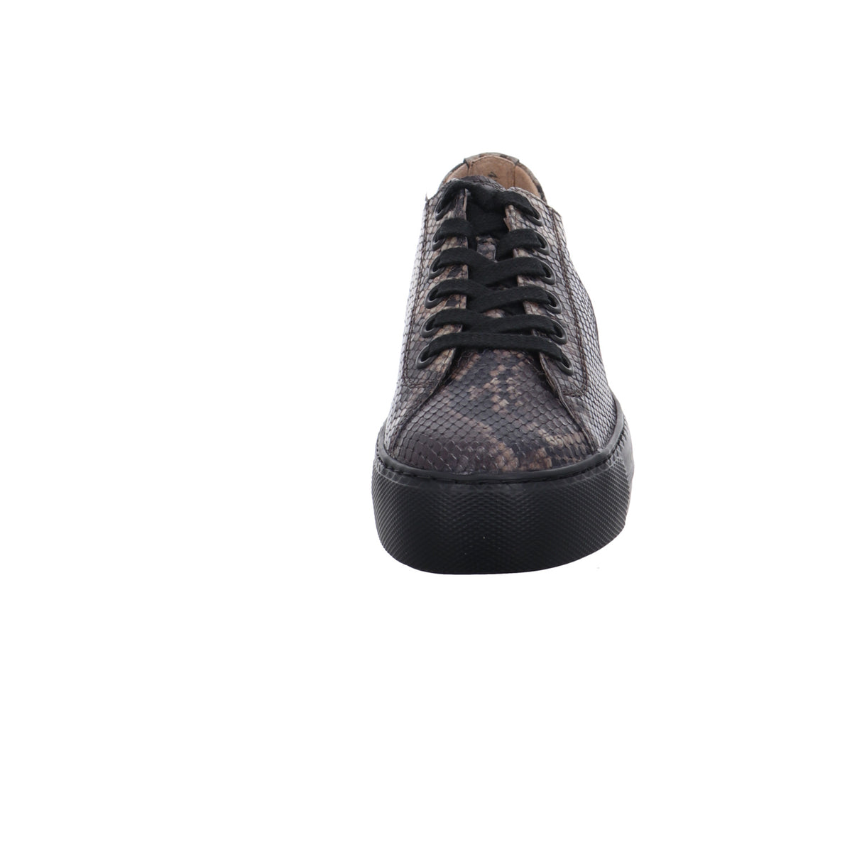 Paul Green | 4790-818