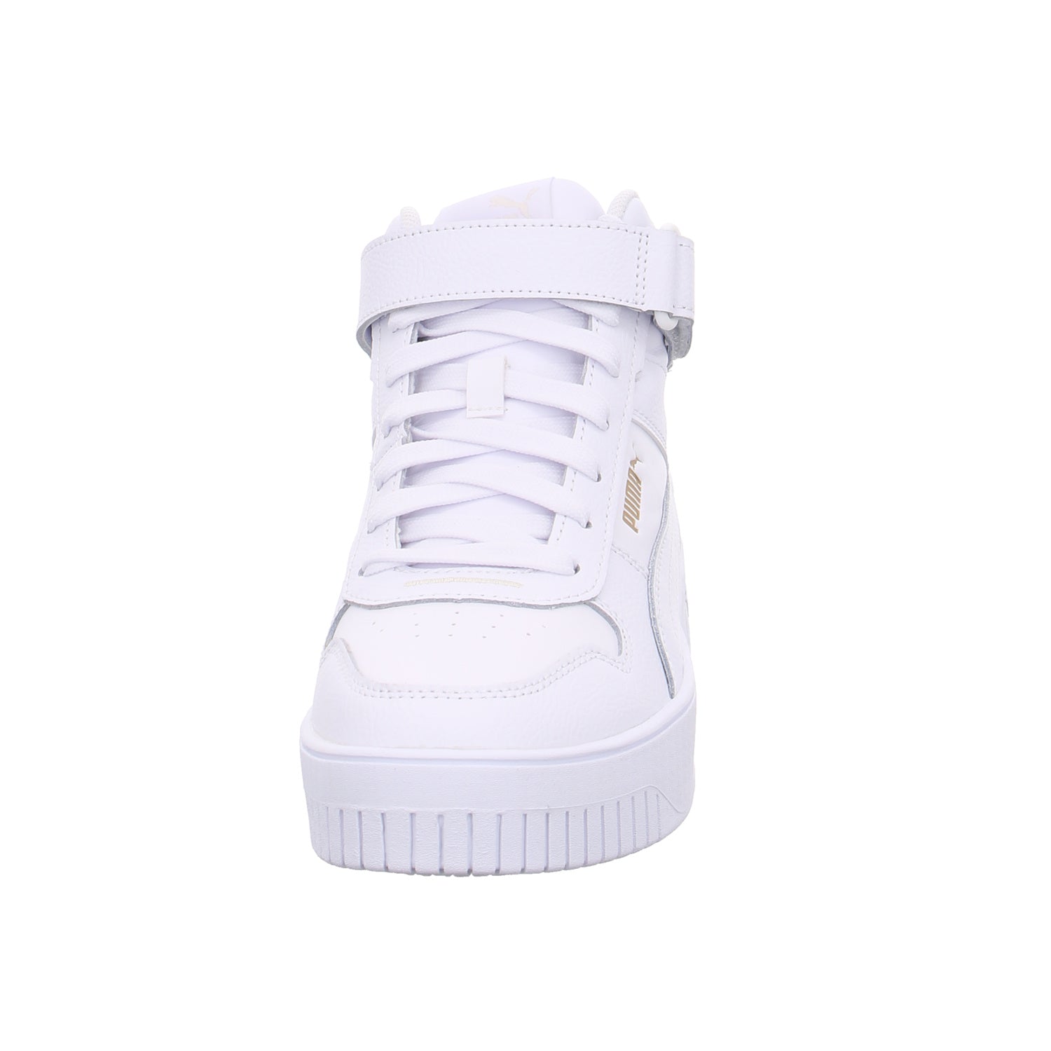 Puma |