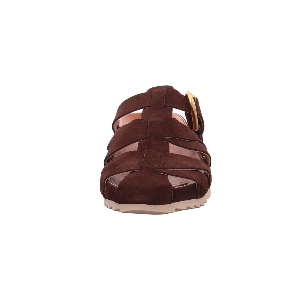 Verbenas I 6802250001-038