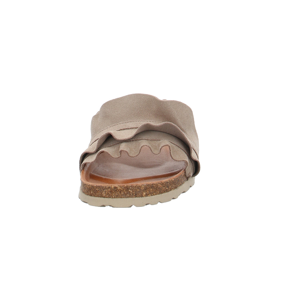 Verbenas | 330062V-0220-746
