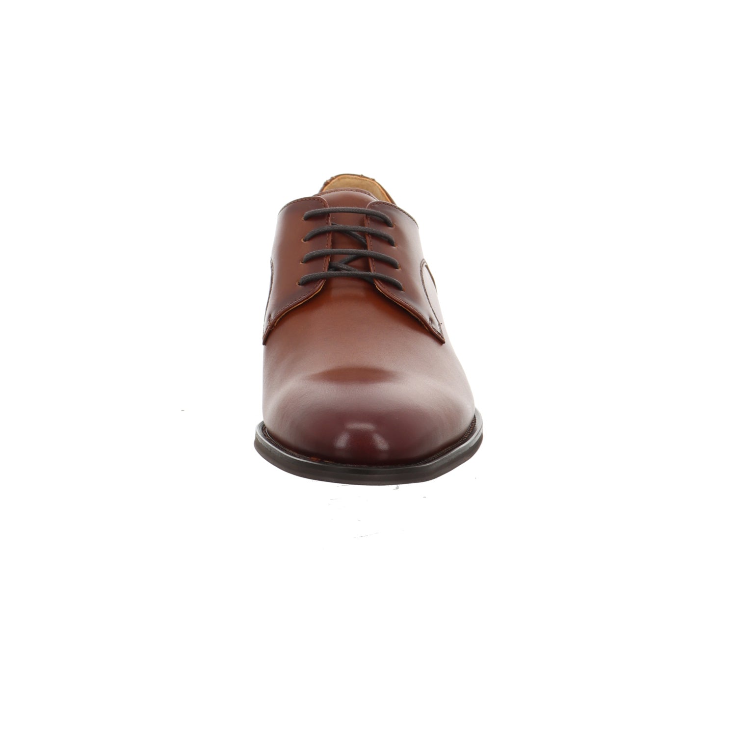 Carl Gross since 1925 | 50912N0-71