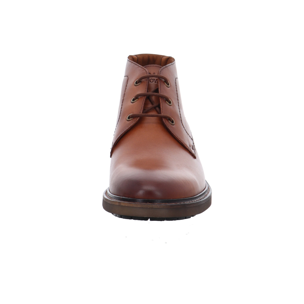 Lloyd | 2560403