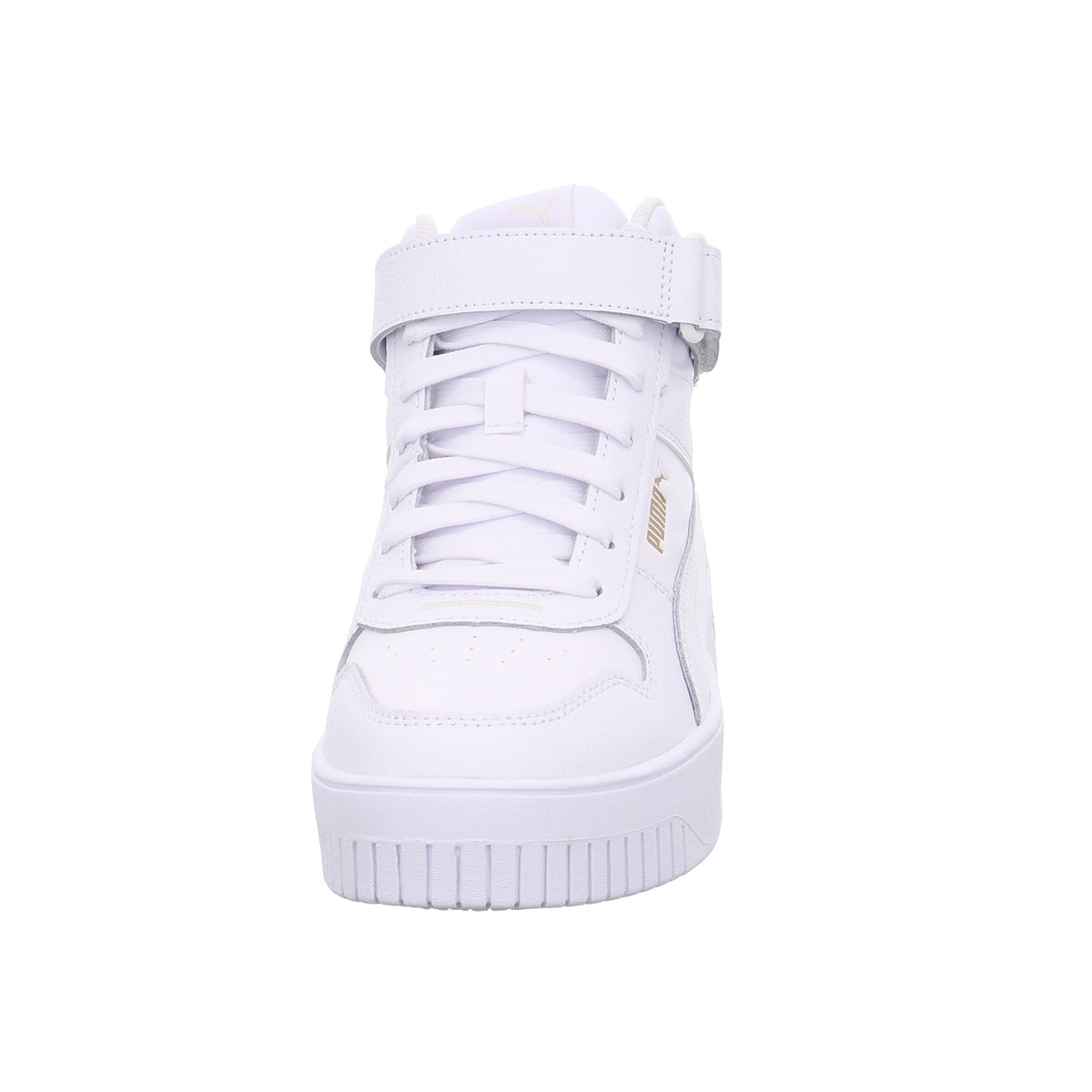 Puma |