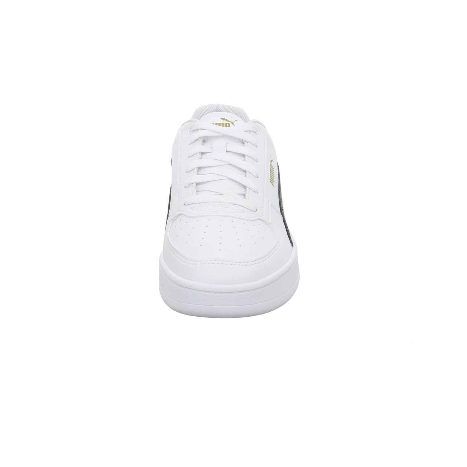 Puma |