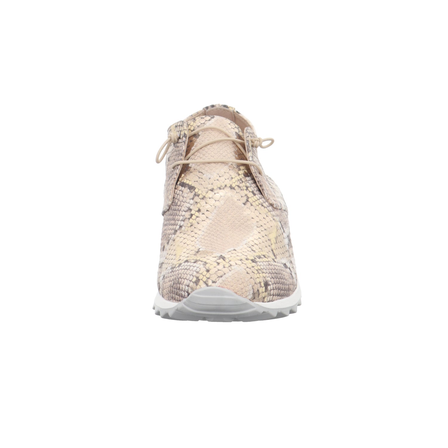 Donna Caroline | 41.763.089-014
