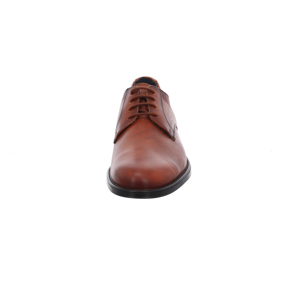 Lloyd | 2453702