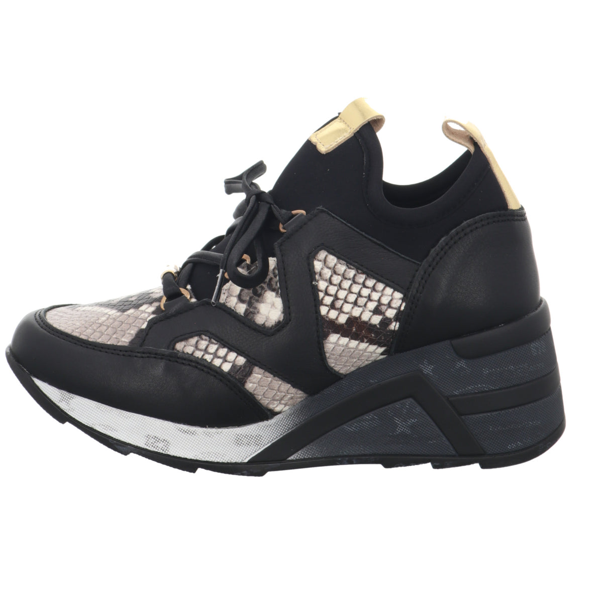 Cetti | C1204
