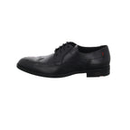 Lloyd | 2455800