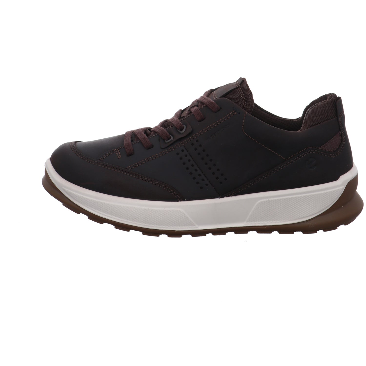 Ecco I 522804/51869