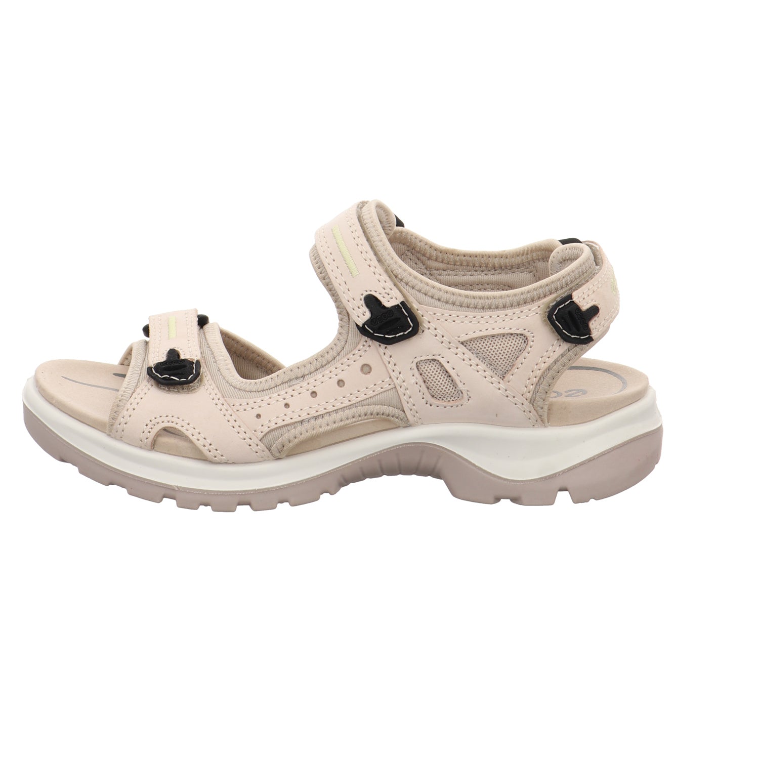 Ecco | 069563-01378
