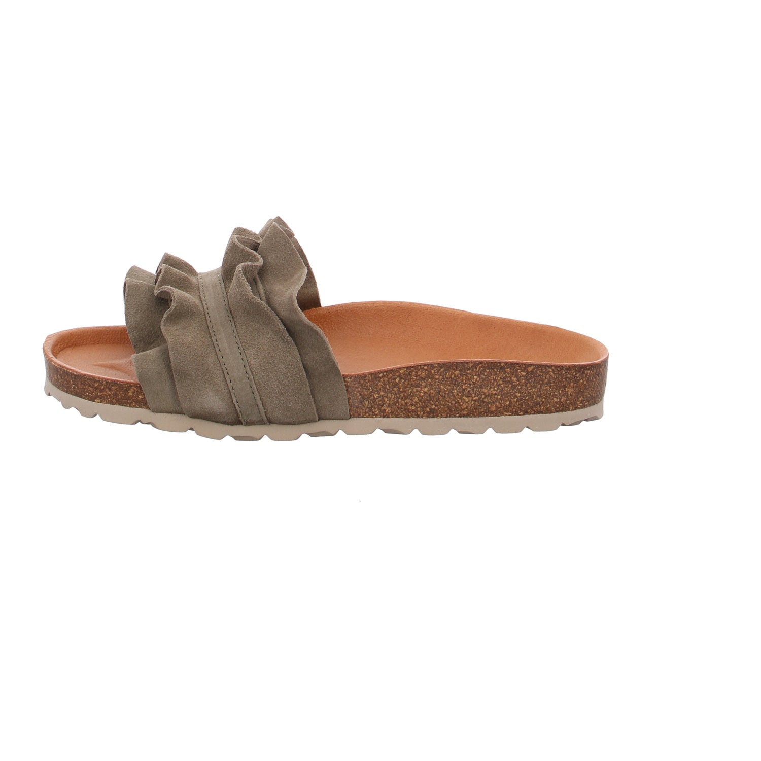 Verbenas | 330062V-0220-0915