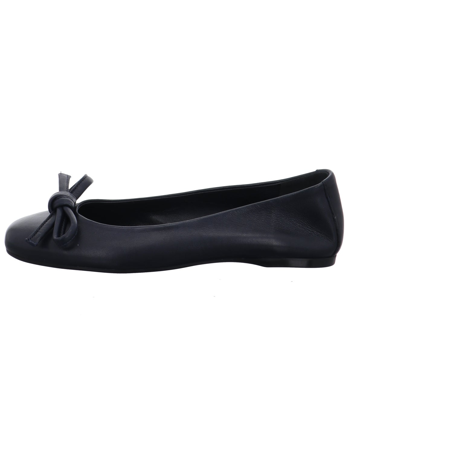 Caiman I C264-BLU