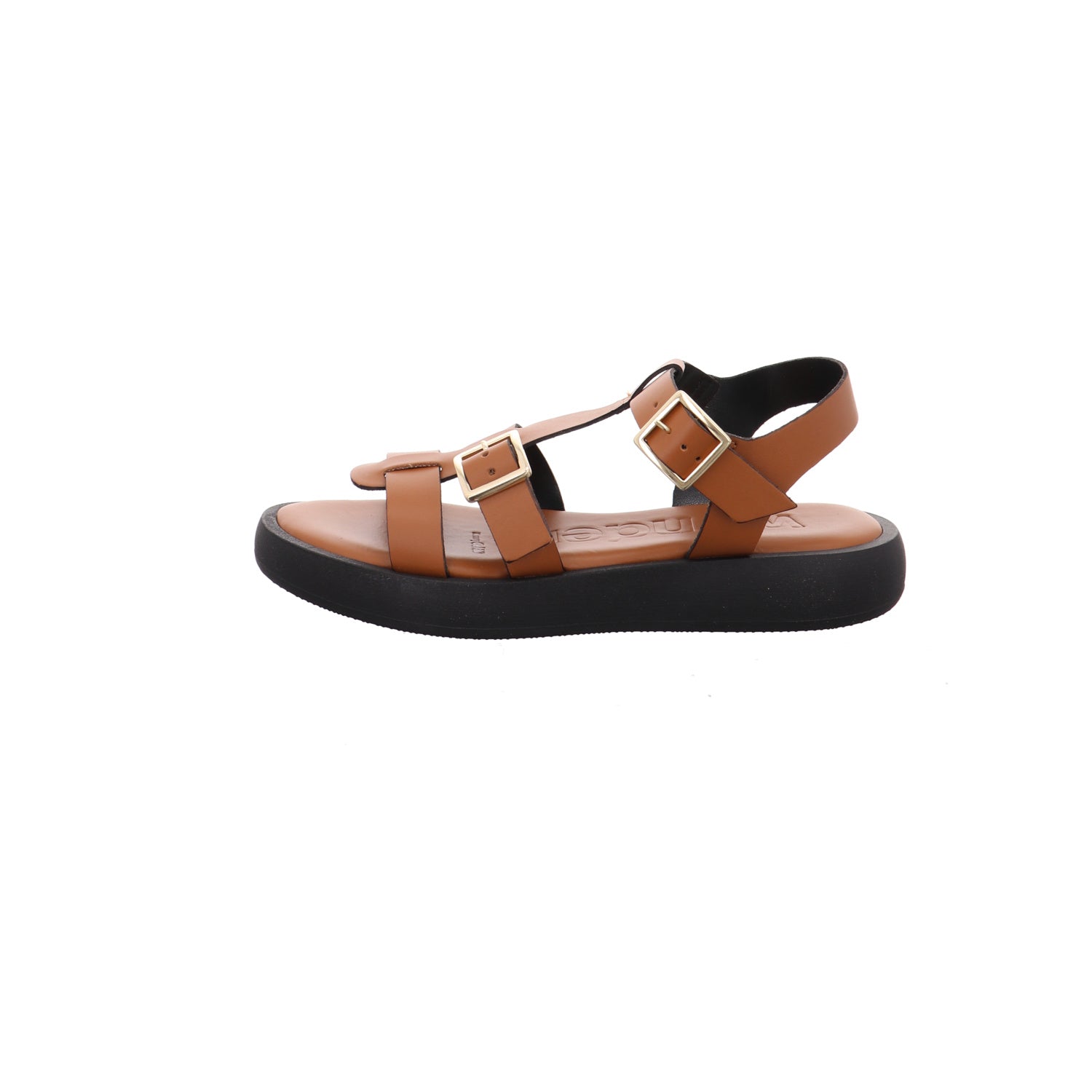 Wonders | AB-1012-CUERO