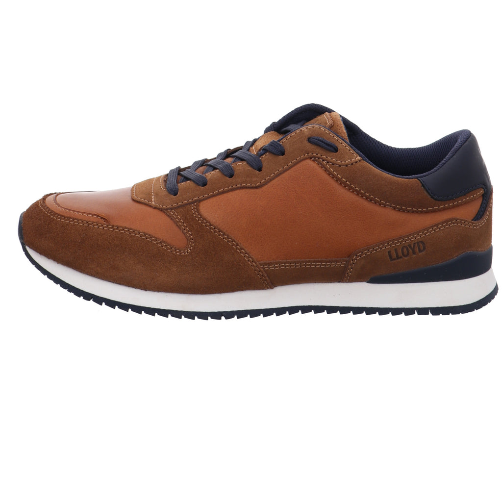 Lloyd | 2590016