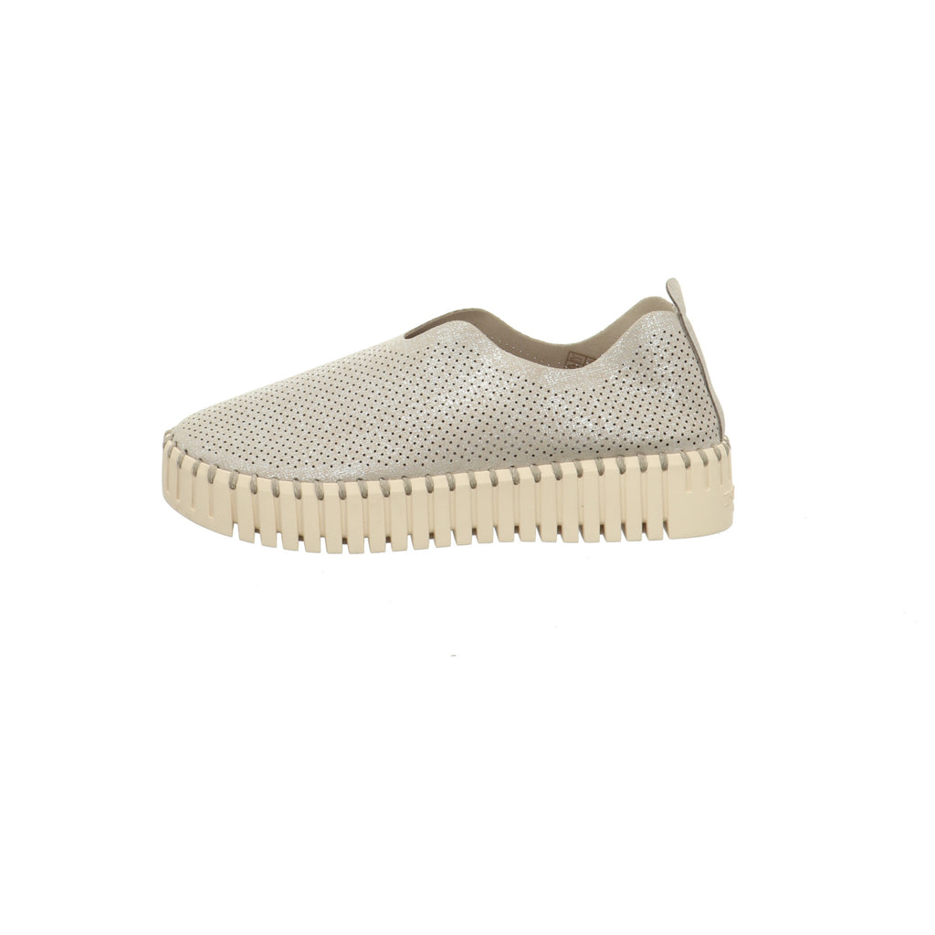 Ilse Jacobsen | TULIP3577-Silver Pearled