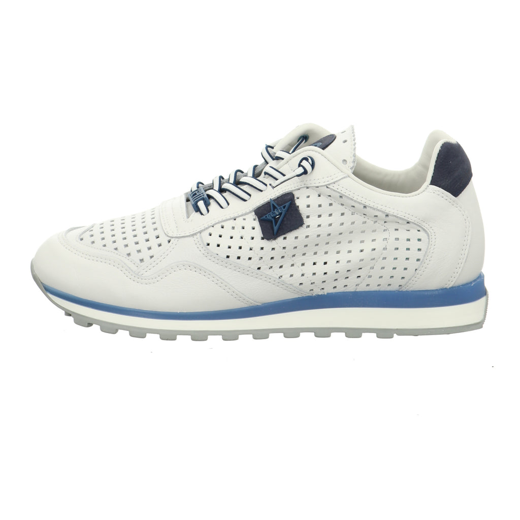 Cetti | C-848 V26-NATURE WHITE NAVY