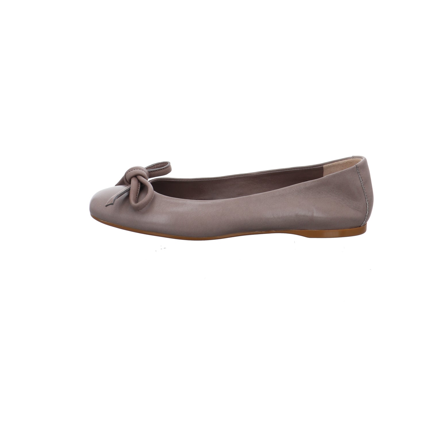 Caiman I C267-TORTORA